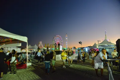 DSC_7748 (Large).JPG